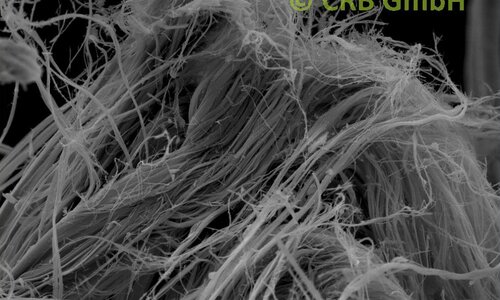 Amiante de chrysotile dans carton amianté, image MEB | © CRB Analyse Service GmbH